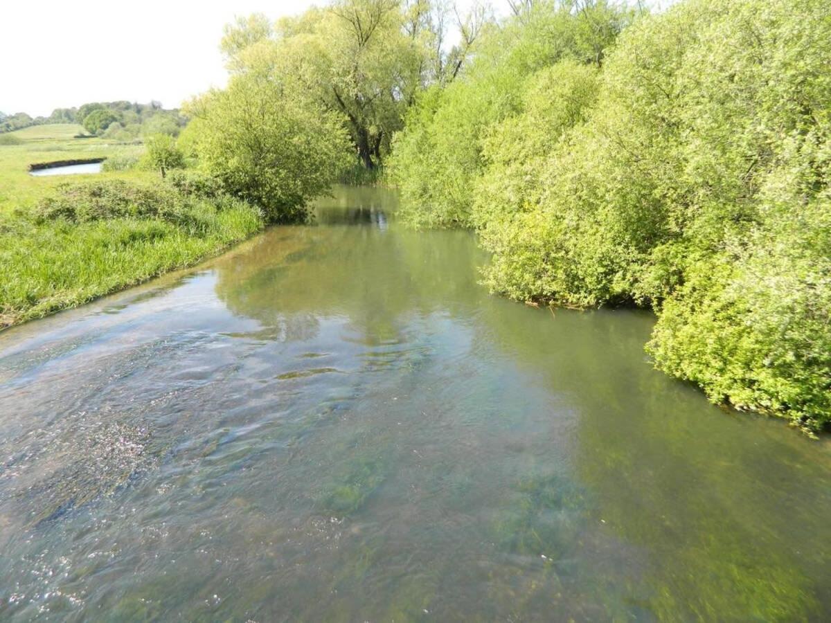River Cottage A Country Retreat In Wooded Gardens East Stoke  Экстерьер фото