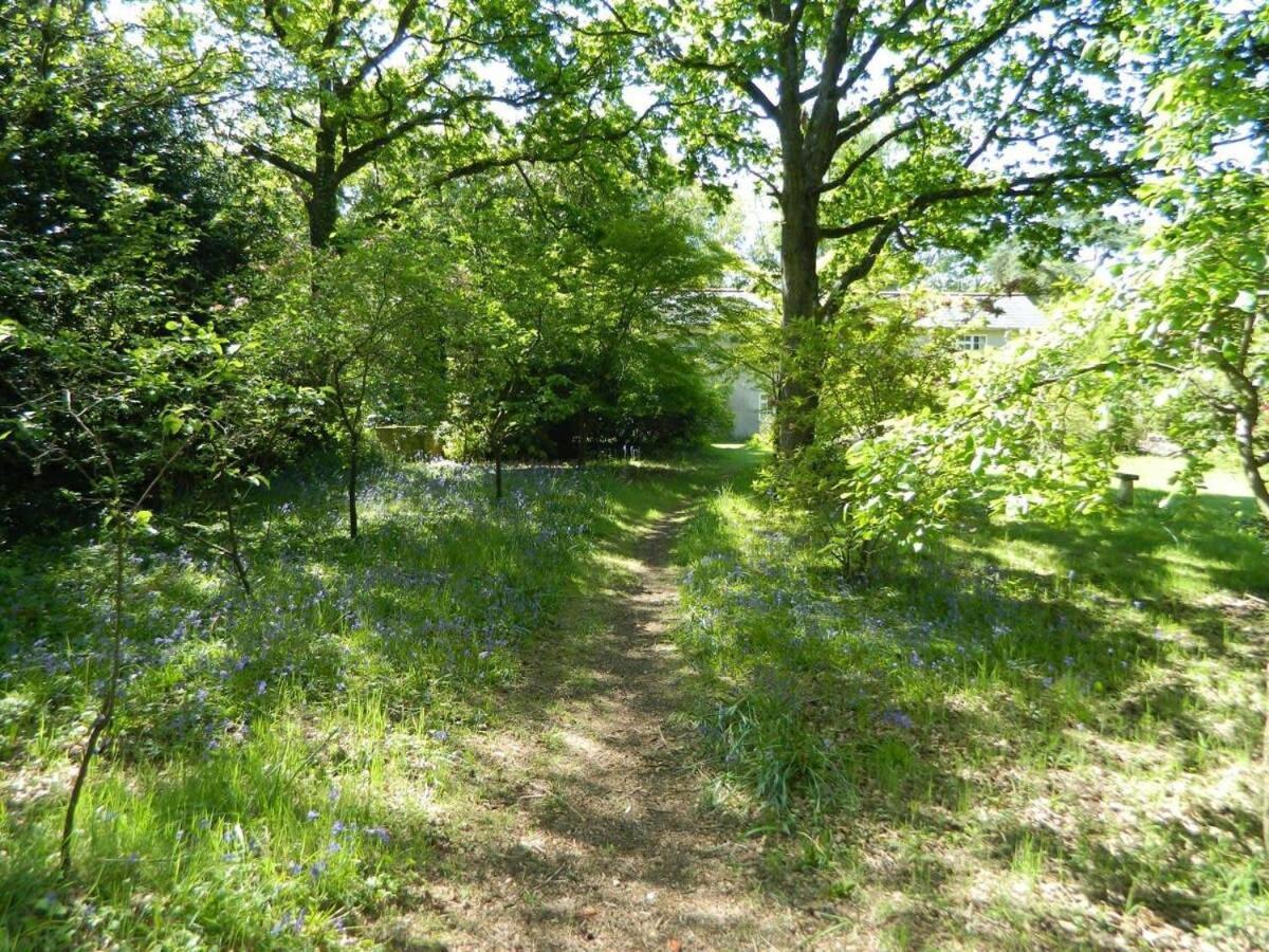 River Cottage A Country Retreat In Wooded Gardens East Stoke  Экстерьер фото