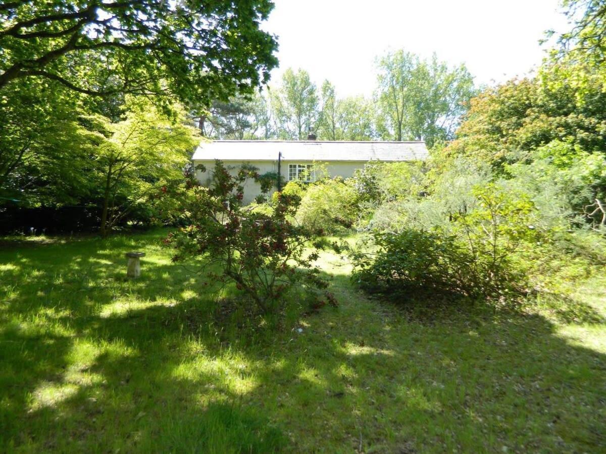 River Cottage A Country Retreat In Wooded Gardens East Stoke  Экстерьер фото