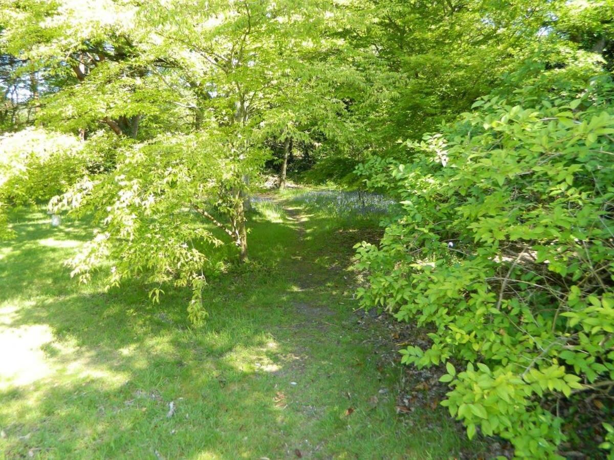 River Cottage A Country Retreat In Wooded Gardens East Stoke  Экстерьер фото