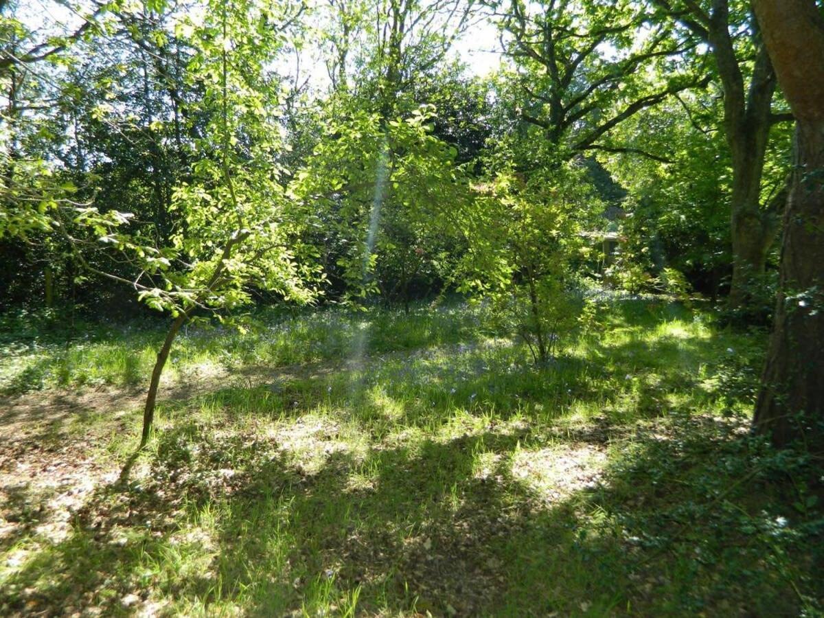 River Cottage A Country Retreat In Wooded Gardens East Stoke  Экстерьер фото